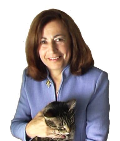 Jan Schneider